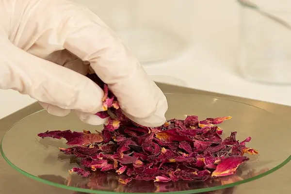 Suszone płatki róży