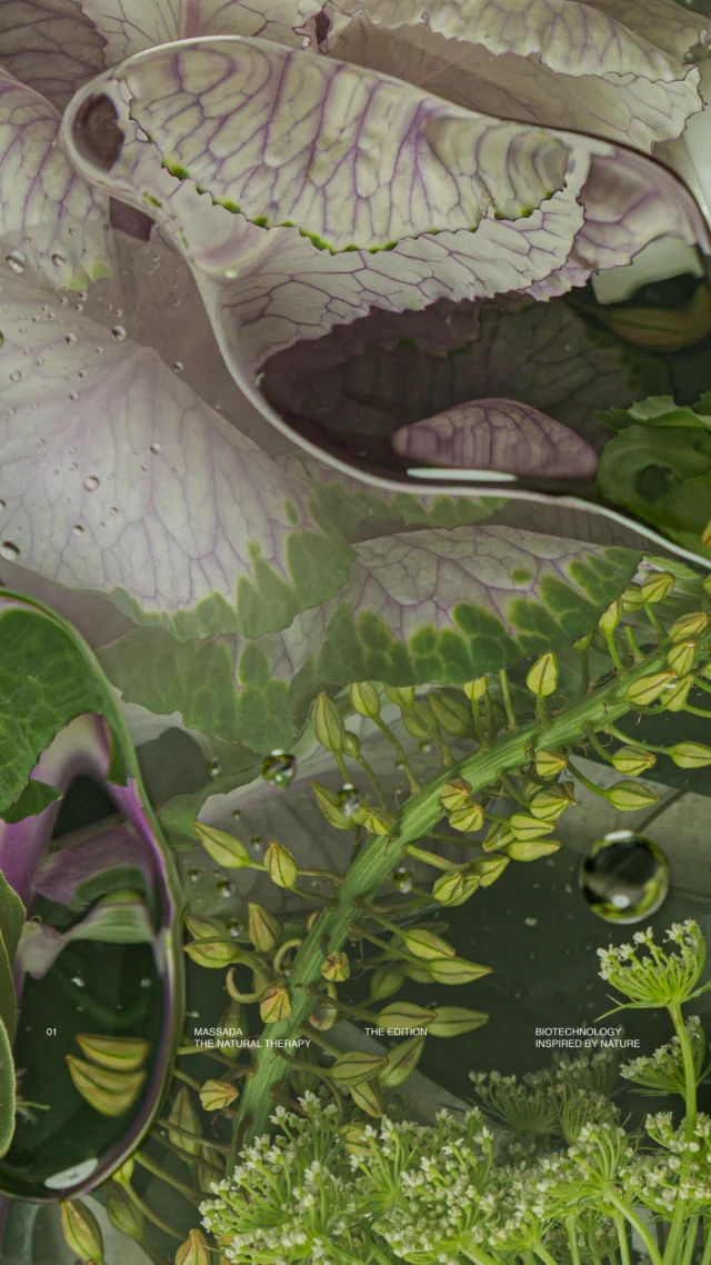 Natura od zawsze była największą inspiracją dla nauki 🌿Dziś dzięki biotechnologii możemy nie tylko czerpać z jej zasobów, ale też je udoskonalać — w sposób precyzyjny, skuteczny i zrównoważony. To właśnie połączenie natury i nauki pozwala tworzyć składniki aktywne, które działają głębiej, są bardziej stabilne i jeszcze lepiej dopasowane do potrzeb skóry.Biotechnologia inspirowana naturą to przyszłość pielęgnacji — gdzie to, co naturalne, spotyka się z innowacją ✨#biotechnologyinspiredbynature #cleanbeauty #skincareinnovation #naturalscience #beautyfromnature